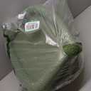 37.4" Cactus Cat Tree Tower with Twin Cat Condos for Indoor Cats, All-in-One Activity Center with Cat Scratching Post Cozy Sleeping Perch Hammock and Toy Balls,Green