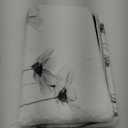 Cosmos Flowers Bath Mat for Bathroom Black and White Pattern Bath Rugs Door Mat Non Slip Rubber Backed Bathroom Floor Mat for Bathtub Sink Shower 20"X32" (2'8" x 1'8" (Rectangular))