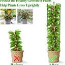 Legigo 3 Pack 30 Inch Plant Support Cages Tomato Cage for Garden- Plant Cages Adjustable Rings, Tomato Plant Support Stakes Trellis for Pots, Peppers, Cucumbers and Flowers with 10 Plant Clips