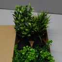 Der Rose Fake Plants 4 Packs Artificial Plants Small Faux Plants Black Bathroom Accessories for Halloween Bathroom Home Kitchen Coffee Table Office Desk Decor Indoor (Green)