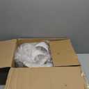 Garwarm 20" Caged Ceiling Fan With Light, Flush Mount Bladeless Fandelier With Remote, Small Low Profile for Bedroom, Kitchen, Dining Room, White Gold