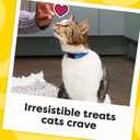 Temptations Cat Treats Classic Crunchy and Soft Cat Treats, Tasty Chicken Flavor, 30 oz. Tub (1.88 Pound (Pack of 1))