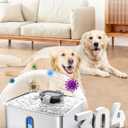 SIBAYS 4Gal/15L Dog Water Fountain for Large Dogs, Stainless Steel Large Pet Water Fountain, Ultra Quiet Automatic Dog Water Bowl Dispenser with Water Level Window and LED Light(FS78, Silver-Grey)