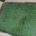 Ottomanson Artificial Turf Mat Natural 31" x 4', Realistic Grass for Balcony, Entryway & Pet Area, Indoor Outdoor Turf with Drainage Holes, UV Resistant