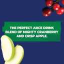 Ocean Spray Cran-Apple Cranberry Apple Juice Drinks, 10 Fl Oz (Pack of 6) (EXP 09/12/25)