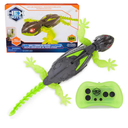 HEX BOTS Wall Crawler Gecko with Official Wall Climber Technology, Rechargeable Remote Control Robot Kids Toys, Prank Toys for Boys & Girls Ages 4 & Up