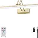Picture Light,16in Wireless Battery Wall Lighting,Remote Art Lights for Paintings with Timer and Dimmable for Display Photo,Frame,Portrait,Dartboard-AB (Antique Brass)