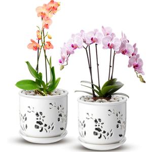 FoldTier 2 Pack 6.5 Inch Large Orchid Pot with Holes and Saucer for Root Health with Precise Aeration and Drainage, Ceramic Orchid Planter Pot for Repotting or New Plants Indoor Outdoor Use(White), 6.3 x 6.3 x 6.5 inches