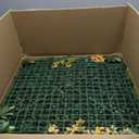 Grass Wall Panels, 20"x20" 16pcs Artificial Grass Backdrop Wall with Tropical Leaves, UV-Anti Faux Greenery Plant Boxwood Panels for Privacy Fence Screen, Green Wall Decor for Outdoor Indoor