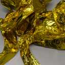 16 inch Multicolor Two Wild Balloons Banner for Boys Girls 2nd Birthday Jungle Safari Theme baby shower Party Supplies Decorations (L TWO WILD Gold)