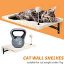 Wall-Mounted Cat Climber Set with Climbing Shelves, Perches, Bridge,Hammock,Scratching Board & Ball - 7 Pcs Wood Indoor Cat Furniture for Kittens Play (Grey)