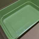 Extea Large Cat Litter Box with High Sides,Cat Boxes for Indoor Cats,Cat Litter Pan for Kitty,Litter Box with Low Entry,Easy to Clean,Anti-Splashing,23.6" x15.7" x6.2" (Green)