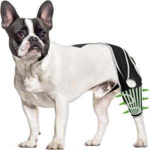 Dog Knee Brace for Back Leg, Luxating Patella Brace for Extra Small Dogs with Reflective Material, Dog Leg Brace Front with 6 Metal Strips, Provide Strong Support, Relieve Pain, Promote Recovery XS Dog Knee Brace for Back Leg, Luxating Patella Brace for Extra Small Dogs with Reflective Material, Dog Leg Brace Front with 6 Metal Strips, Provide Strong Support, Relieve Pain, Promote Recovery XS