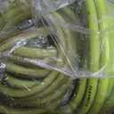Flexzilla Garden Hose 5/8 in. x 100 ft., Lightweight All-Weather Water Hose, Durable and Flexible, Leak-Free Connections