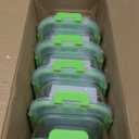 C CREST Glass Containers for Food Storage with Lids, [10-Pack] Meal Prep Containers for Kitchen, Home Use, BPA Free (Green)