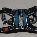 PoyPet No Pull Dog Harness, No Choke Front Clip Reflective Dog Vest with Soft Padded Vertical Handle, 3 Leash Attachments for Small Medium Large Dogs (Tumalo Teal,M)