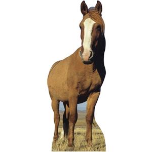 Cardboard People Horse Life Size Cardboard Cutout Standup, One Size