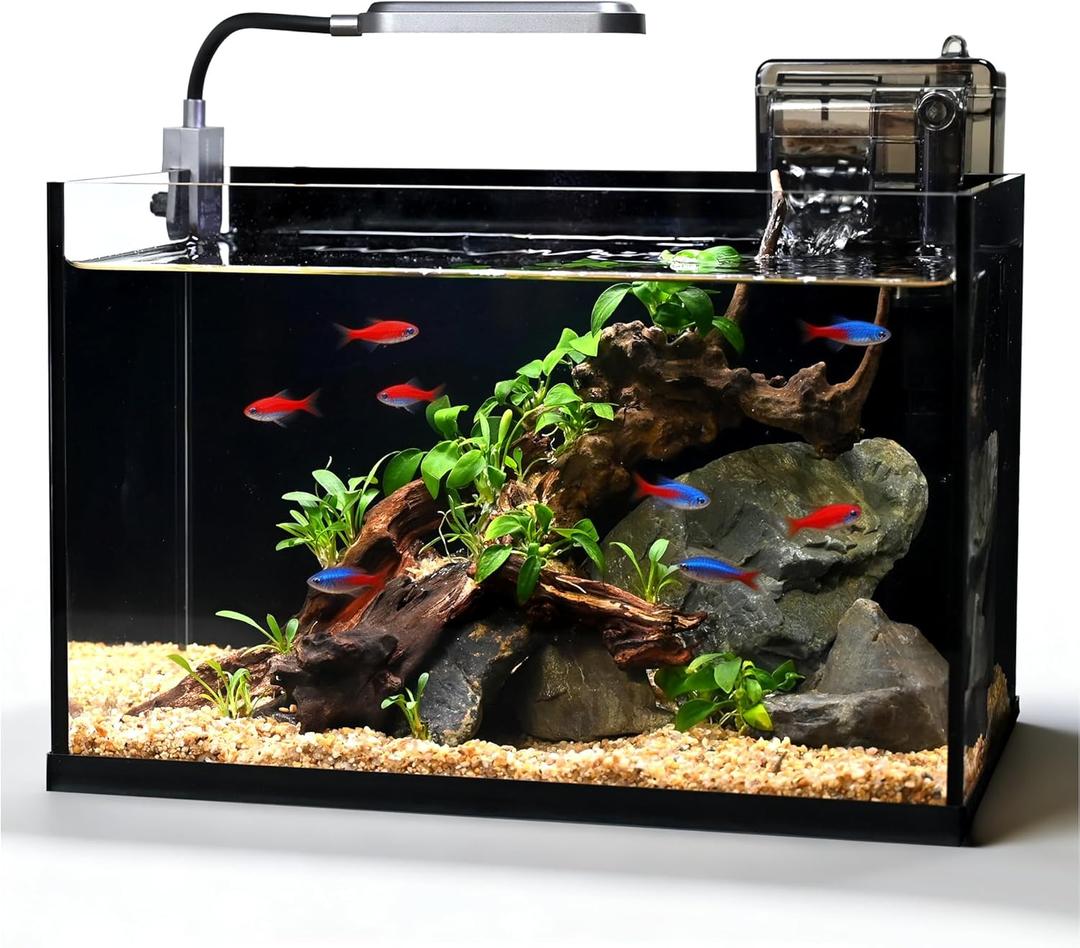 Glass Fish Tank Kit,2.8 Gallon Fish Tank,Small Aquarium, Ultra-Clear Nano Aquarium,Betta Fish Tank,Small Fish Tank,Aquarium Starter kit,Desktop Fish Tank,with Light and Filter