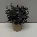 Coferset 2 Pack Black Fake Eucalyptus Small Fake Plants Potted Artificial Plants for Halloween Shelf Desk Home Farmhouse Room Coffee Table Decor Bathroom Decor (Black)