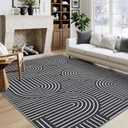 ROYHOME Washable Rug 5x7 Area Rugs for Living Room, Abstract Rug for Bedroom, Soft Rainbow Non Slip Throw Rugs with Rubber Back, Low Pile Stain Resistant Boho Geometric Carpet for Dining Room, Black