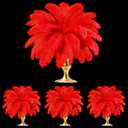 TaoBary White 60 Pcs Red Natural Ostrich Feathers Plumes for Valentine's Day Wedding Birthday Party Red Centerpieces 12-14, 10-12, 8-10 Inches Vase Feathers Flower Arrangement Decors DIY Crafts
