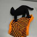 Petitebella Halloween Theme Pet Costume (Black Cat, Medium)