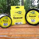 Seaguar InvizX Multi-Species Fishing Line for Casting, Live Bait, Freshwater, 100% Fluorocarbon, Clear, Multiple Sizes (8lbs/200yds)