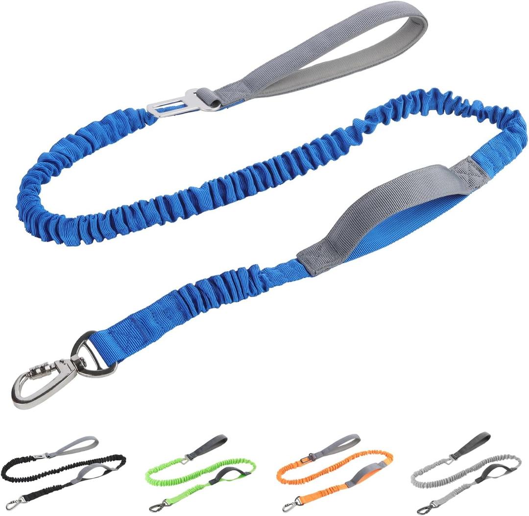 Hands Free Leashes (Blue)