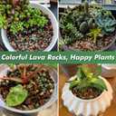 18 Pounds Mix Horticultural Lava Rocks, 5-8 mm Lava Rocks for Plants, Bonsai Rocks Horticultural Grit Soil Cover Gravel for Succulents and Hydroponics, Fairy Gardening, Top Dressing, Plant Drainage