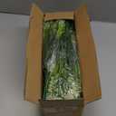 Geegoods Artificial Plants Flowers Outdoor  24 Bundles UV Resistant Faux Lavender Flowers with Monkey Grass for Garden Porch Window Patio Hanging Planter Decor (White)