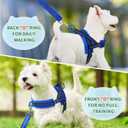 Lukovee No Pull Dog Harness and Leash Set, Soft Padded Small Dog Harness, Neck & Chest Adjustable Reflective Vest Puppy Harness with 4ft Lightweight Anti-Twist Dog Leash for Small Dogs (S, Blue)