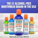 TheraBreath Healthy Gums Oral Rinse, Antigingivitis, Clean Mint Flavor, Dentist Formulated to Help Prevent Gingivitis and Support Gum Health, Alcohol Free, 16 Fl Oz, Exp: 09/2027 (Pack of 2)