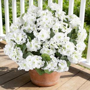 6 Bundles White Artificial Geranium Flowers for Outdoors Spring Decor Geraniums Silk Flowers UV Resistant Lifelike Faux Flowers for Spring Indoor Outdoor Garden Patio Porch Balcony Home Decoration