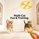 Cat Fetch Toy Launcher with 10 Soft & Flexible Discs, Cat Toys for Indoor Cats, LED Glowing Launcher, Electric Interactive Kitten Toy for Hunting & Exercise, USB Rechargeable
