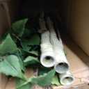 Nearly Natural 7ft. Artificial Birch Tree with Real Touch Leaves