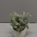 Hopewood Small Artificial Plants Eucalyptus with a Weave Basket Potted Plants for Home Office Desk Farmhouse Indoor Decor