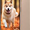 Unlocked 3G Mobile Phone, 6.6-inch Screen 16GB ROM (SD to 128GB), Dual SIM Dual Cameras, Android 10.0 OS, Face ID Cell Phones (Gold)