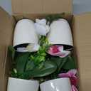 XONOR 4Pcs Artificial Orchid Flowers Mini Potted Orchid Flowers Fake Orchids with Plastic Vase for Home Office Wedding Table Centerpiece Decoration(White,Yellow,Pink,Light Pink)