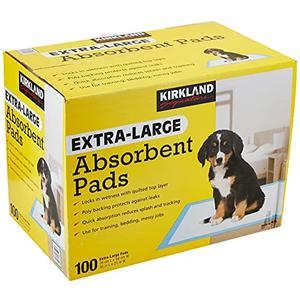 Kirkland Signature Extra-Large Absorbent Pads, 100 Large Pads, 30x23 (Original Version)