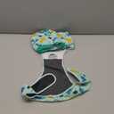 Recovery Suit for Dogs and Cats, Soft Surgery Suit for Female Spay, Dog Onesie for Male Neuter, Anti-Licking Surgical Recovery Shirt, Dog Cone Alternative Surgical Clothes, Green, Medium