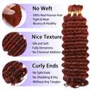Human Braiding Hair for Boho Braids 3 Bundles/Pack 110g 14 Inch Deep Wave Bulk Human Hair for Braiding Curly Knotless 12A Brazilian Virgin Copper