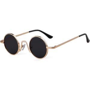 SORVINO Retro Small Round Sunglasses for Men Women Vintage Style Metal Frame