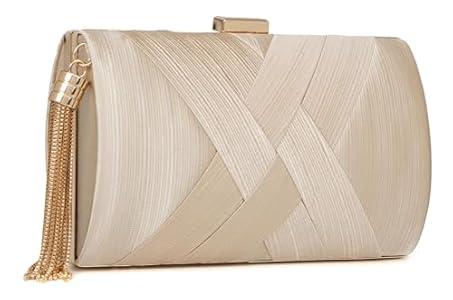 Wytidian Clutch Purses for Women Formal Evening Clutch Purse Shoulder Cross Body Bags for Wedding Party Handbag with Tassel (Champagne Gold)