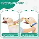 GLADOG Soft Dog Cone Collar – XL Single Size – Cone for Dogs to Stop Licking, Adjustable E Collar for Dogs After Surgery, Elizabethan Collar for Dog, M