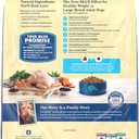 Blue Buffalo Life Protection Formula Healthy Weight Large Dog Food, 34 lb (EXP 03/24/27)