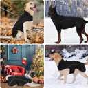 HEYWEAN Dog Winter Coat - Waterproof Windproof Reflective Vest for Medium & Large Breeds Adjustable Warm FleeceLined Jacket with Magic Tape & D-Ring for Leash Cold Weather Apparel (Black, XXX-Large)