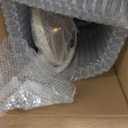 LED Floor Lamp for Living Room, 60 inches Spiral Floor Lamp with Remote Control, 48W, 3 Color Temperatures,Dimmable, for Bedroom, Office Gold