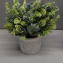 MyGift Artificial Eucalyptus Plant in Modern Gray Concrete Pots with Geometric Embossed Pattern (1, Grey)