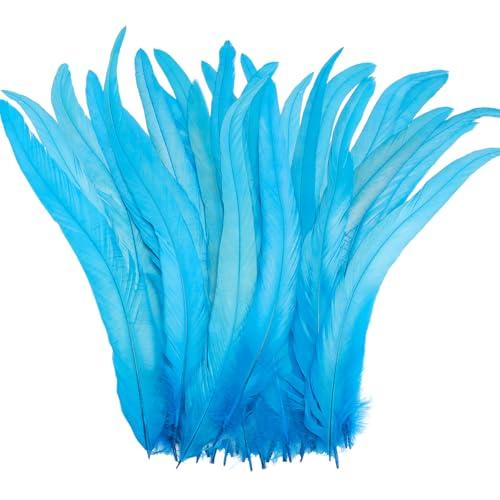 Yuxung 100 Pcs Nature Rooster Tail Feathers 12-14 Inch Bulk Natural Long Rooster Tail Feathers for DIY Crafts Costume Mardi Gras Party Performances Carnival Decoration(Blue)