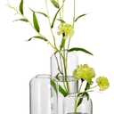 Hewory Modern Glass Bud Vase for Flower: 24PCS Blown Clear Small Vase Bulk